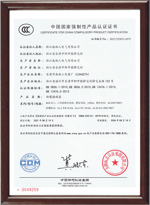 ISO 9001 quality system certificate placeholder